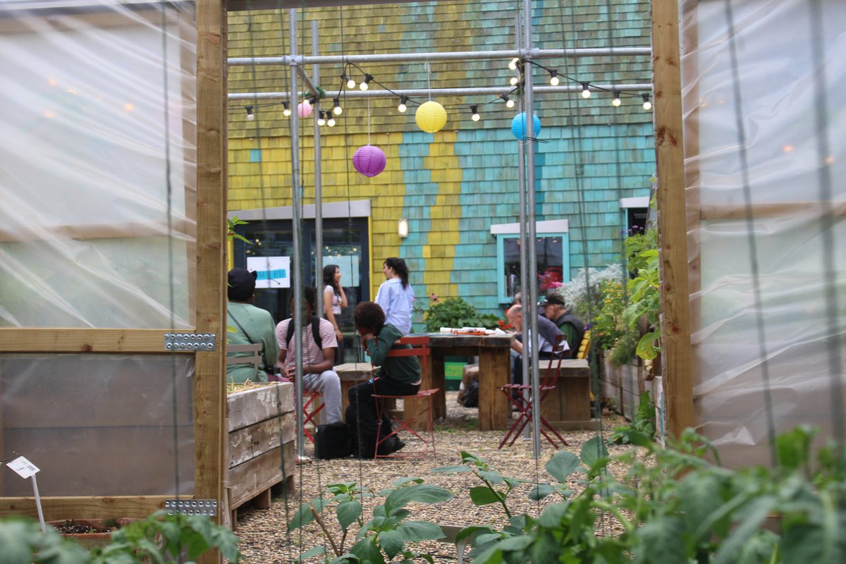 Another new blog ✨Notes from the Greenhouse, July 2024 ✨ 
energygarden.org.uk/blog/greenhous… 

Come get involved in this fun growing project #communitygarden in #SW1W #Pimlico #London