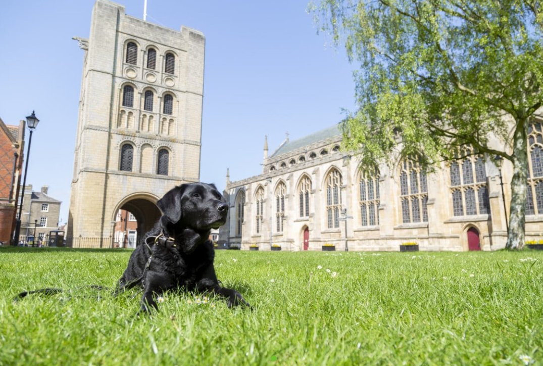 Our Bury St Edmunds tweet media