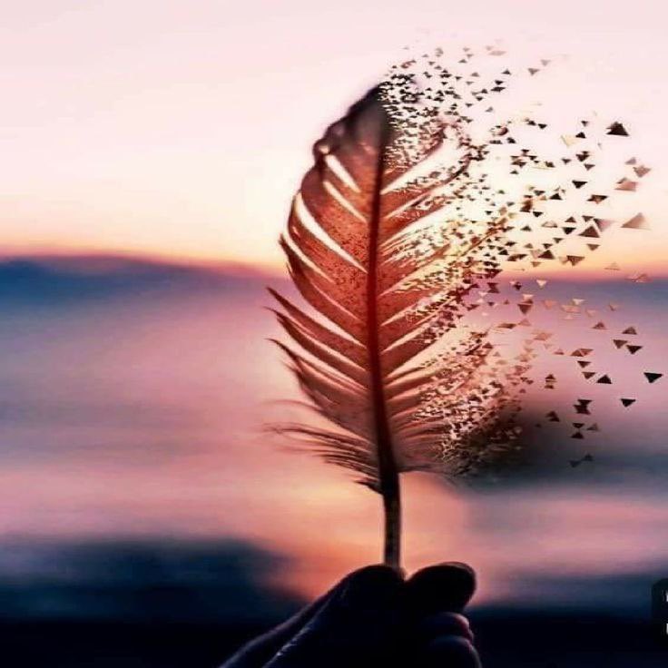 "المهم ما يجري في القلب ، لا ما يجري أمام الناس."

تولستوي