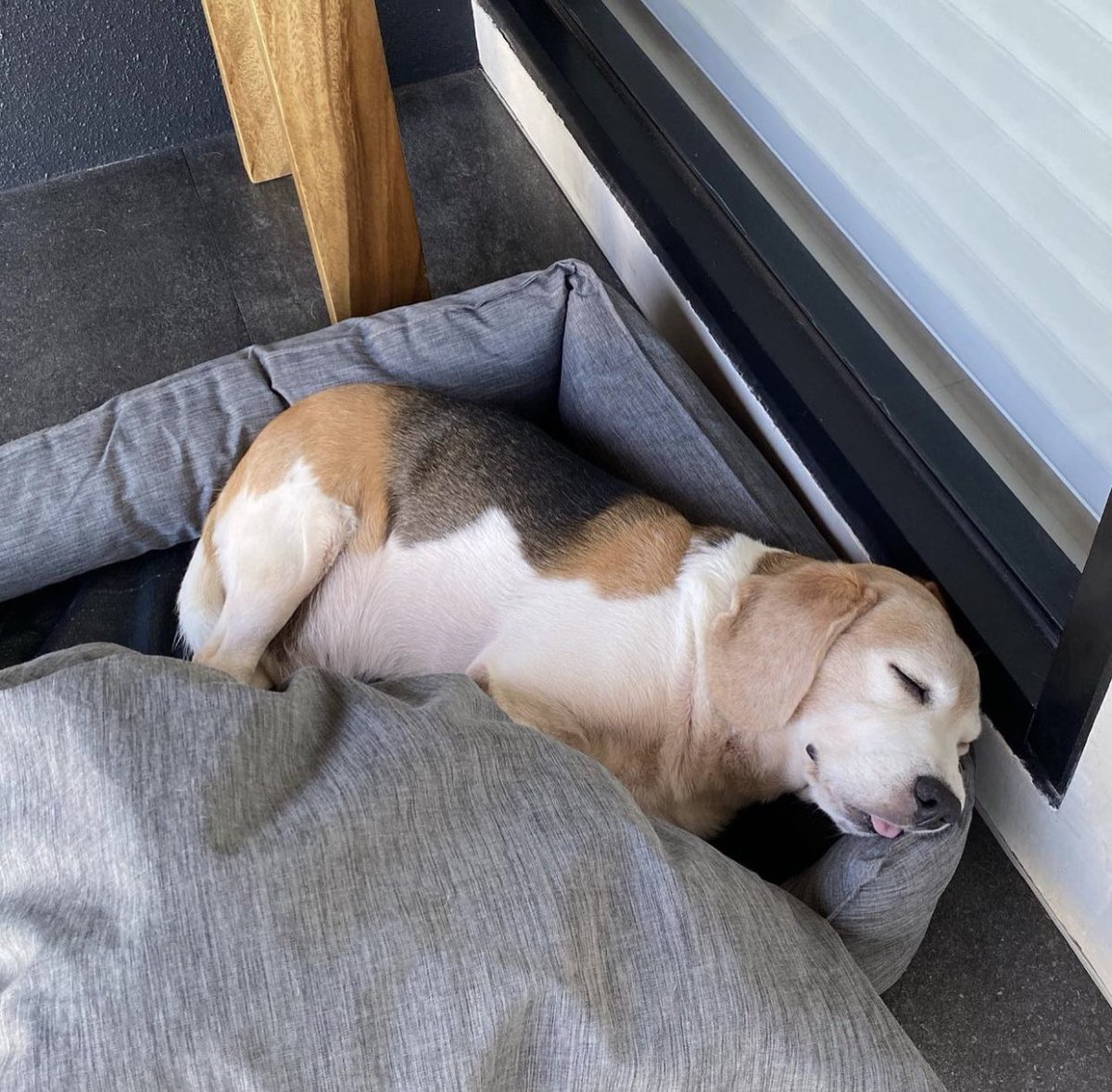 𝔸𝕣𝕒♡ tweet media