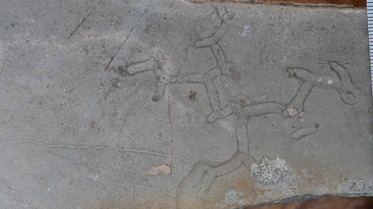 Such beautiful Psammichnites and Protopalaeodictyon from Middle Cambrian in Xuzhou, China.