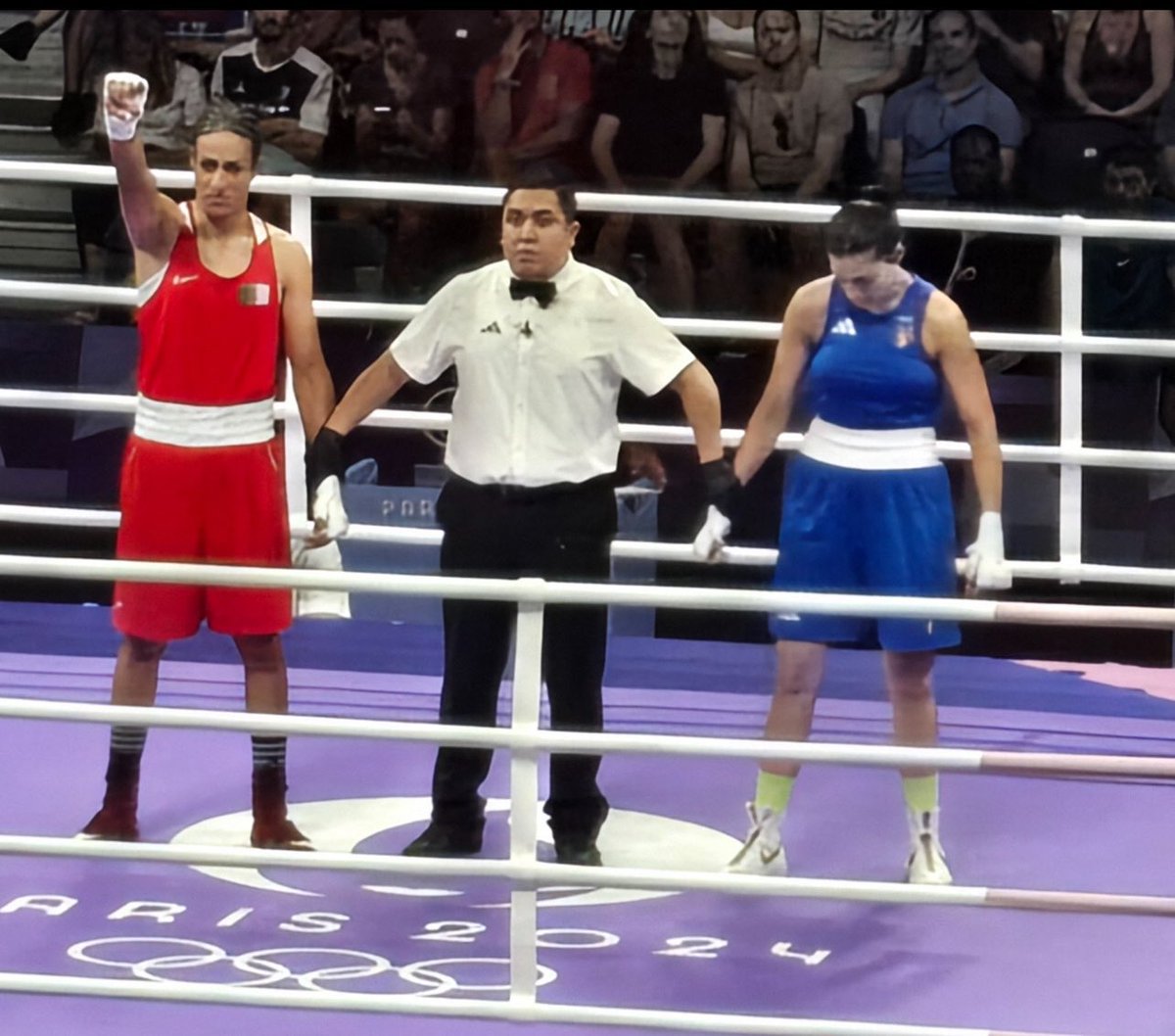 IanCameron23's tweet photo. The #Paris2024 Olympics literally advocating for biological men to beat biological women. In a world where this kind of violence is a massive crisis, they have the audacity to celebrate it. Shame on you! #Carini #IStandWithCarini https://t.co/SkuoR7E2Nu