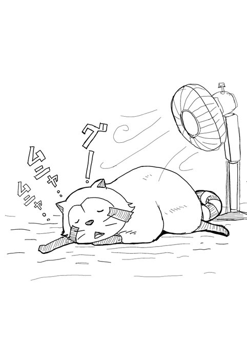 おやすみラスカル🐾🐾🐾💤 