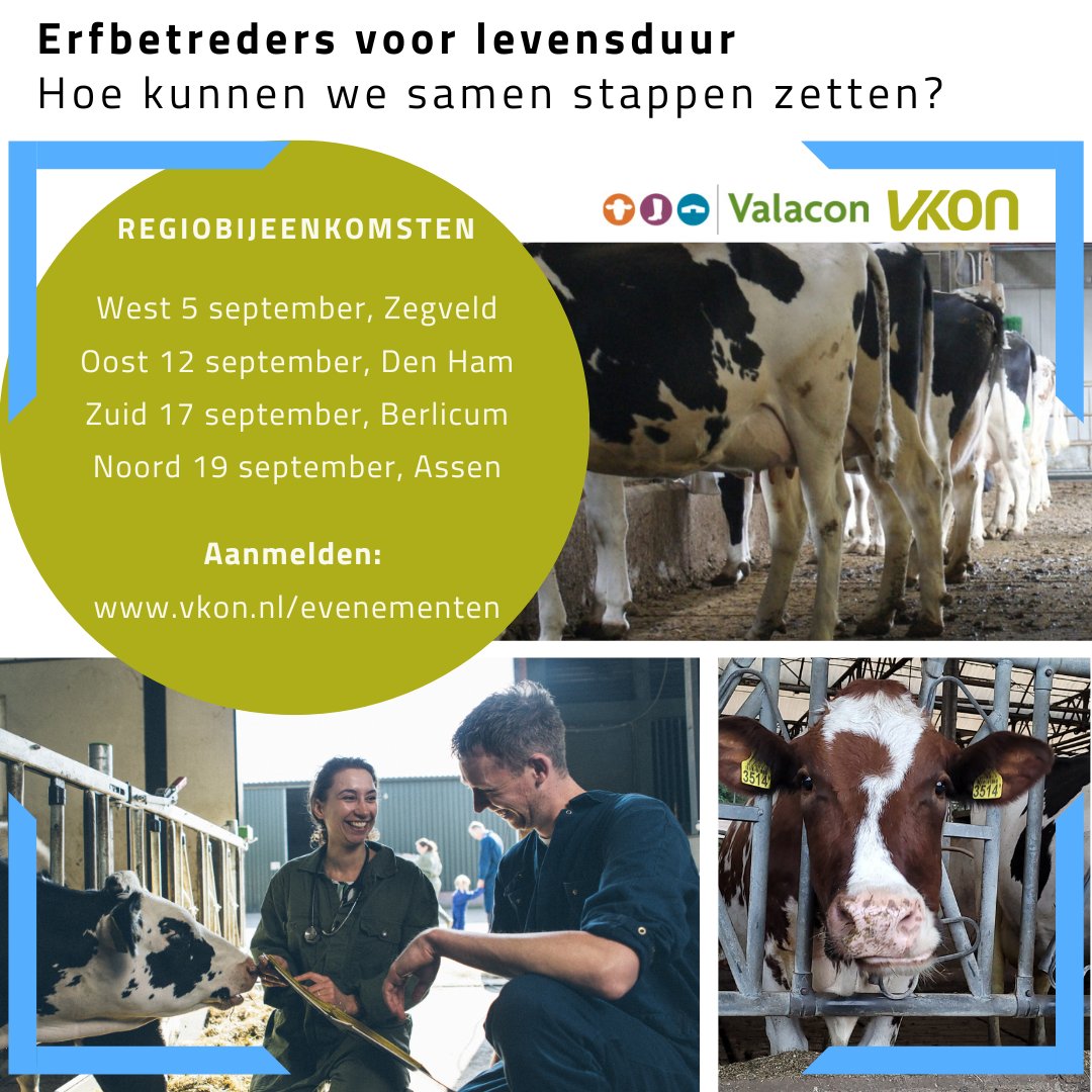 VKON tweet media