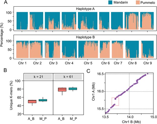 Hortres's tweet photo. Phased genomics reveals hidden somatic mutations and genetic diversity in sweet oranges, aiding breeding efforts. #PhasedGenomics #CitrusBreeding @OxfordJournals 
Details:https://t.co/5nrGi4j6oI https://t.co/Dx1nmGA3bd