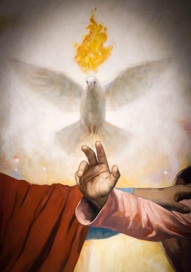 Qué la Divina Providencia nos asista en cada momento, para que nunca nos falte casa, vestido, salud y sustento 🙏🏻🤍