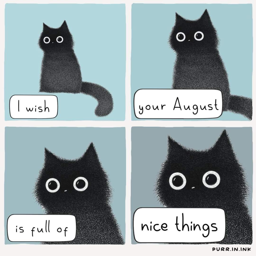 basser500's tweet image. 