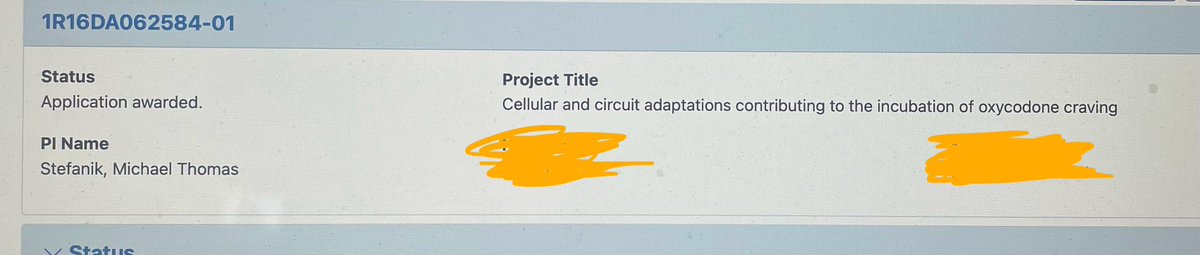 Beyond excited to receive the Notice of Award for my R16 grant from NIDA! This grant will provide four years of funding to my lab and numerous opportunities for students to engage in impactful research. Grateful for all the support that got me here! 🙏🏻