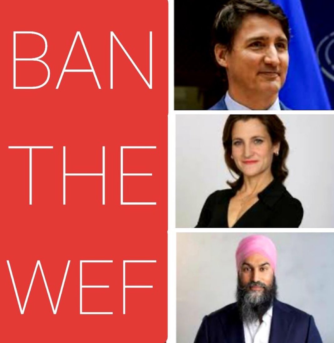 Concerned Canadian tweet media