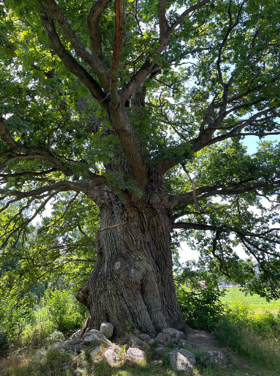 David⚡️ tweet media