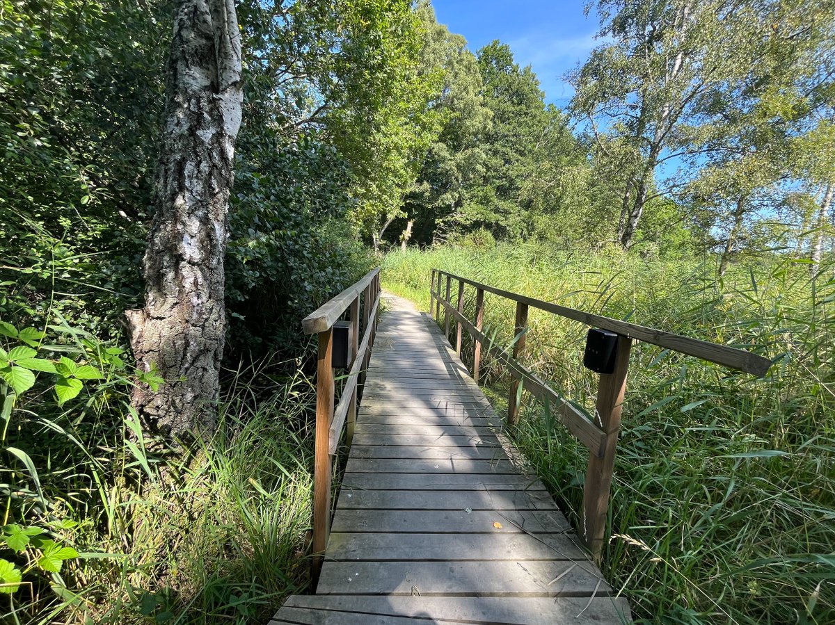 David⚡️ tweet media