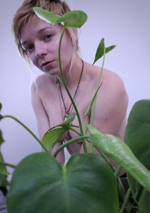 🍃🍃🍃 https://t.co/m77oONXUvZ