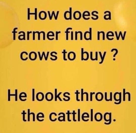 Victoria59L's tweet photo. Bada boom 💥 #FarmHumour #farmer https://t.co/CHw66II1AV