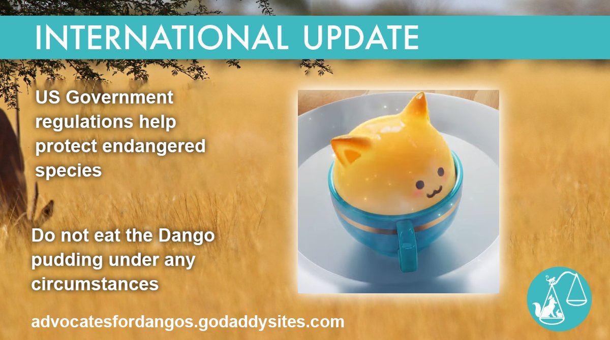 Paper the Dango lover tweet media