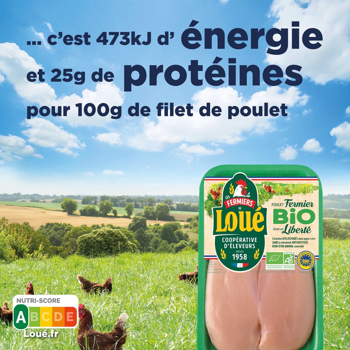Ce n’est pas une botte de paille qui va arrêter Fabien dans son élan !
💬"Chaque semaine je mange du poulet de Loué, une viande saine pour un équilibre de niveau mondial"
#chevaldarcon #athlete #gymnastique #sport #diététique #nutrition #monpouletprefere #allezlesbleus de travail
