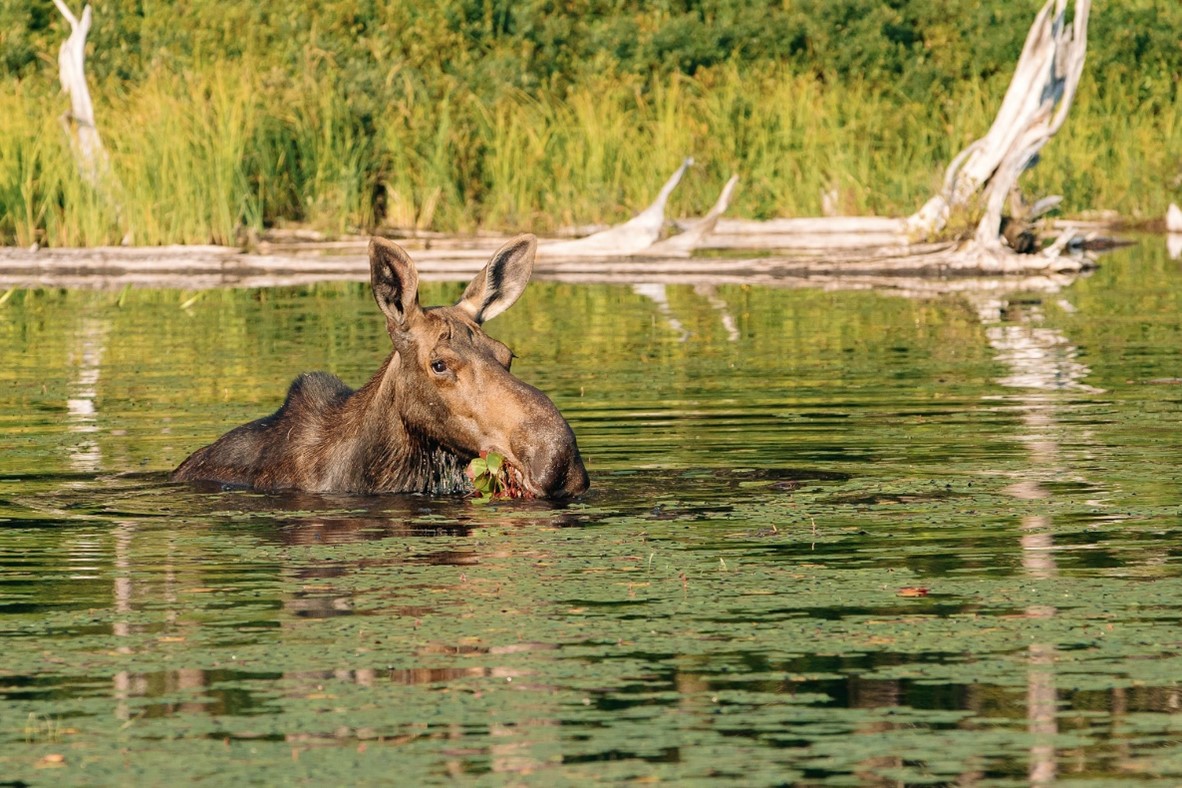 cPort Credit Union tweet media