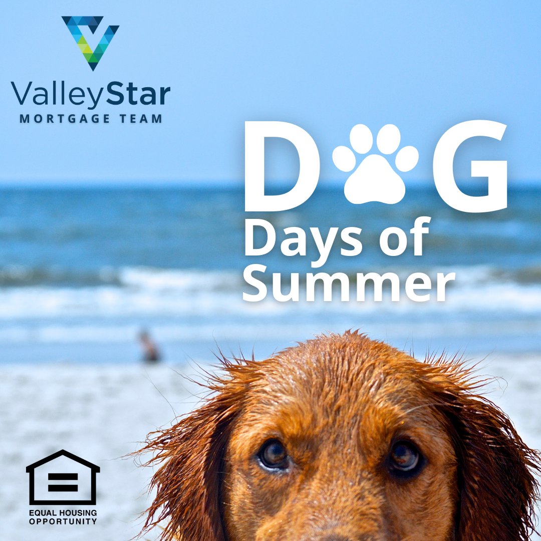 Are the dog days of summer taking their toll on you?  We have mortgage and HELOC options that can help you beat the heat.  

Apply here valleystarcu.loanproducer.com/User/Home  or reach out to Alicia or Brianne to start the application process (not all will qualify) #ValleyStarMortgage