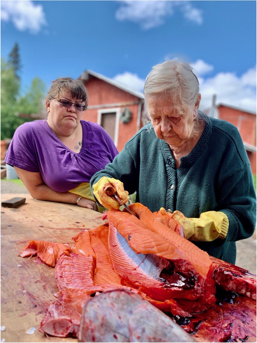 Janessa Esquible et al. share the Yup'ik and Athabascan values, knowledge, management, and governance mechanisms that can improve the long-term sustainability and equity of Alaska salmon systems: ow.ly/G9BG50S8MaQ