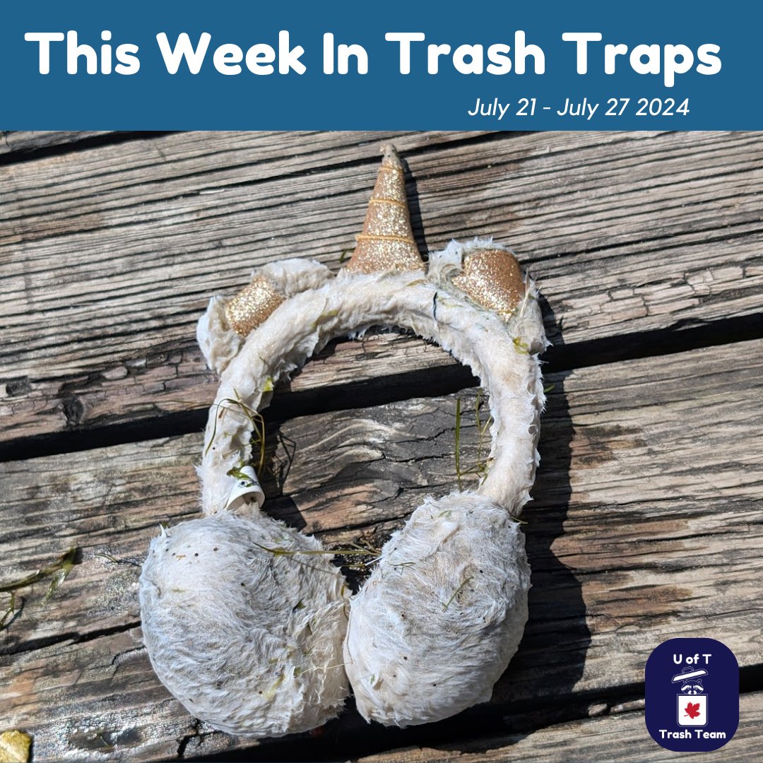 UofTTrashTeam's tweet photo. Anyone missing their #unicorn earmuffs? Our #FightingFloatablesTO researchers also spotted a massive #fatberg! Ever heard of one? These masses of toilet paper and wet wipes combine and congeal in the sewer w/ oil & grease, so remember, only flush the three Ps! (pee, poop & paper) https://t.co/WW5sEN1Eys