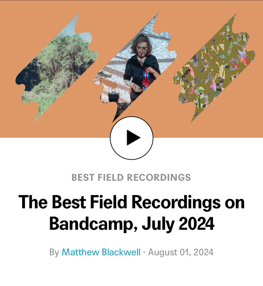 bdavbdavbdav's tweet image. hooooly moly 🥹 incredibly happy to find that my album on @tracedobjects, Virginia Bluebells, was included in the best field recordings of July '24 on @bandcamp!  If you feel so inclined, take a listen through and maybe even pick up one of these lovely tapes :)