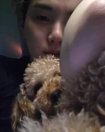 미스 홀리