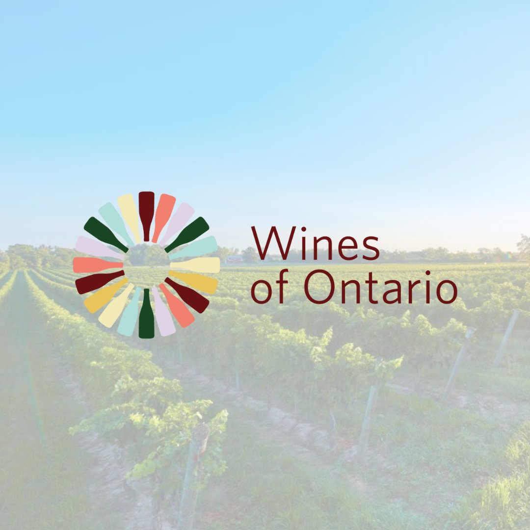 Have you met the new Wines of Ontario?  Check out the new and exciting vibe happening @winecountryont Wine should be fun and approachable! Go meet your new match!