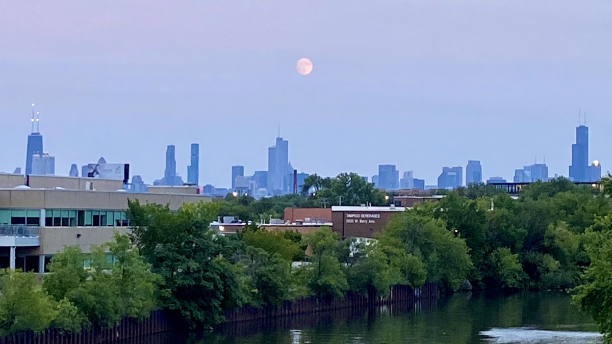north0fnorth's tweet photo. happy national girlfriend day to the love of my life, the city of chicago ❤️ she has always been there for me https://t.co/46EaaCIqCr