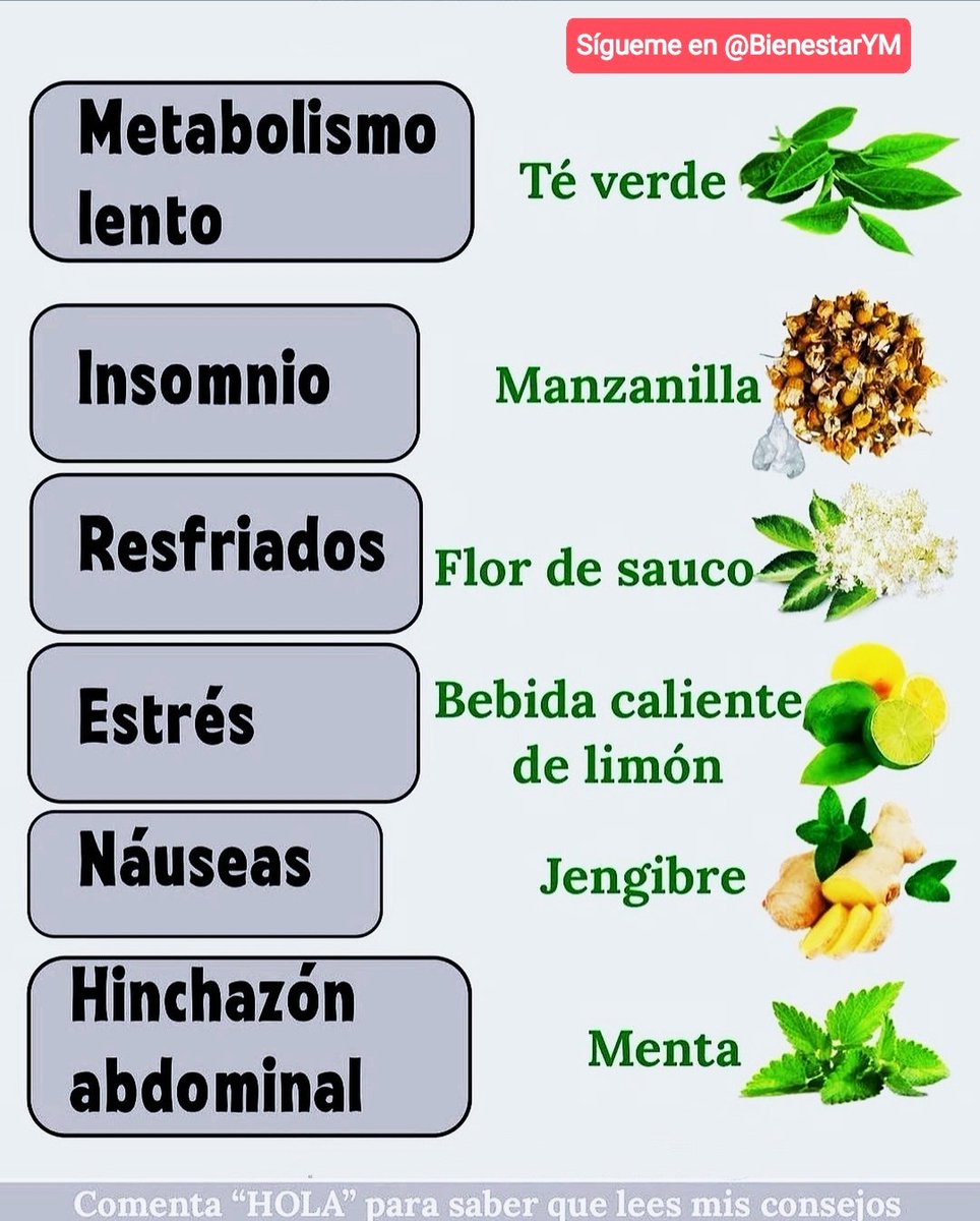 BienestarYM's tweet photo. ✨💫🌿☀️Tip Salud☀️🌿💫✨

*Regálame un Gracias así se que me lees y te gusta mi contenido* https://t.co/zPpfX1AVzF