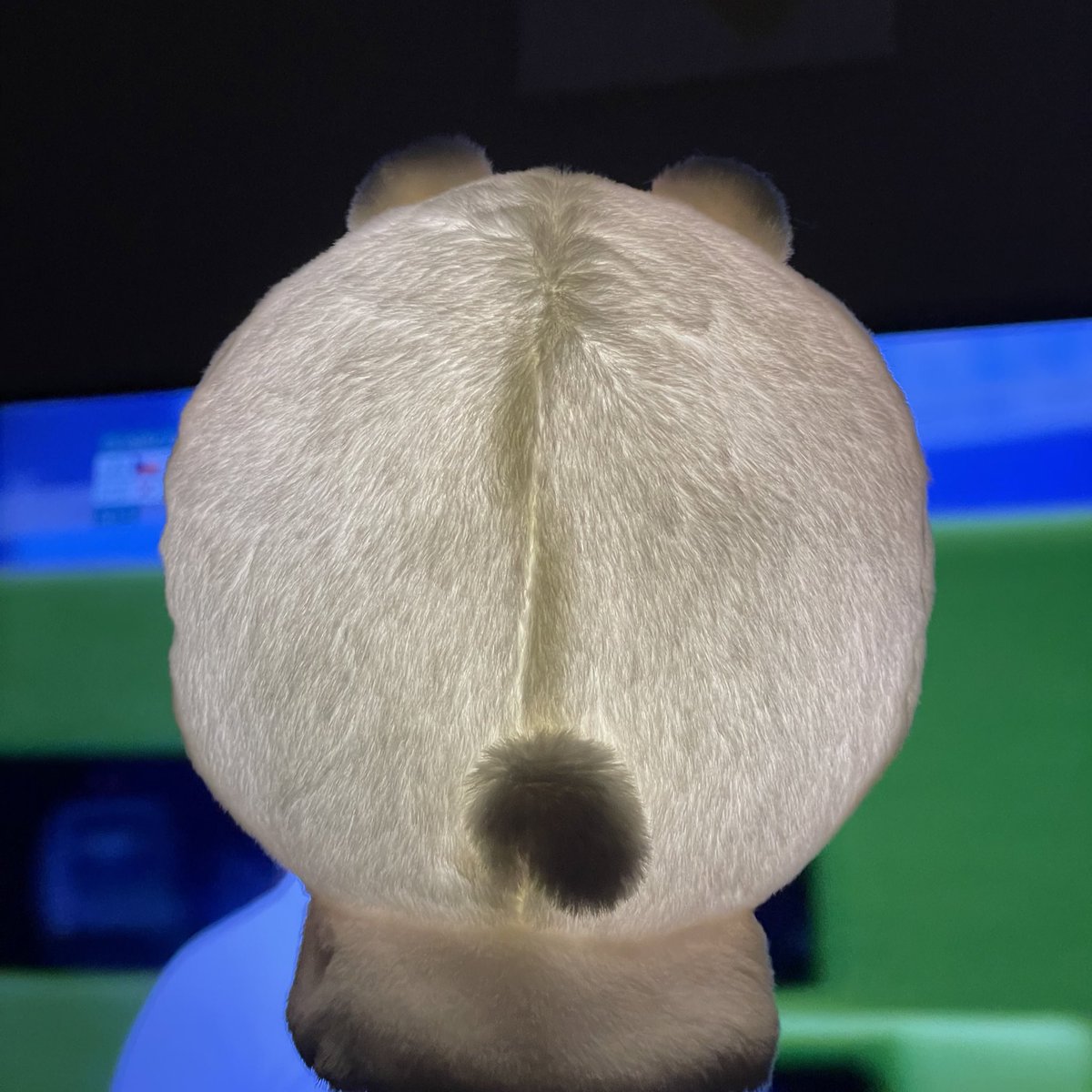 ลัฟวี่เกา เริ่มลองใช้ที่คลุมคิมมันบงกันละ สภาพ 5555555555555555555555 
สว่างในตัวจริงๆ ที่แปลว่าในตัวจริงๆ แสงไม่ออกมาเลย 😂😂