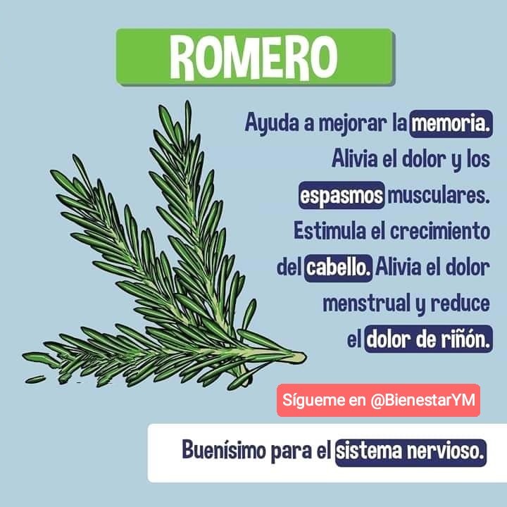 BienestarYM's tweet photo. ✨💫🌿☀️Tip Salud☀️🌿💫✨

Romero🍵

*Regálame un Gracias así se que me lees y te gusta mi contenido* https://t.co/9MHvgolktd