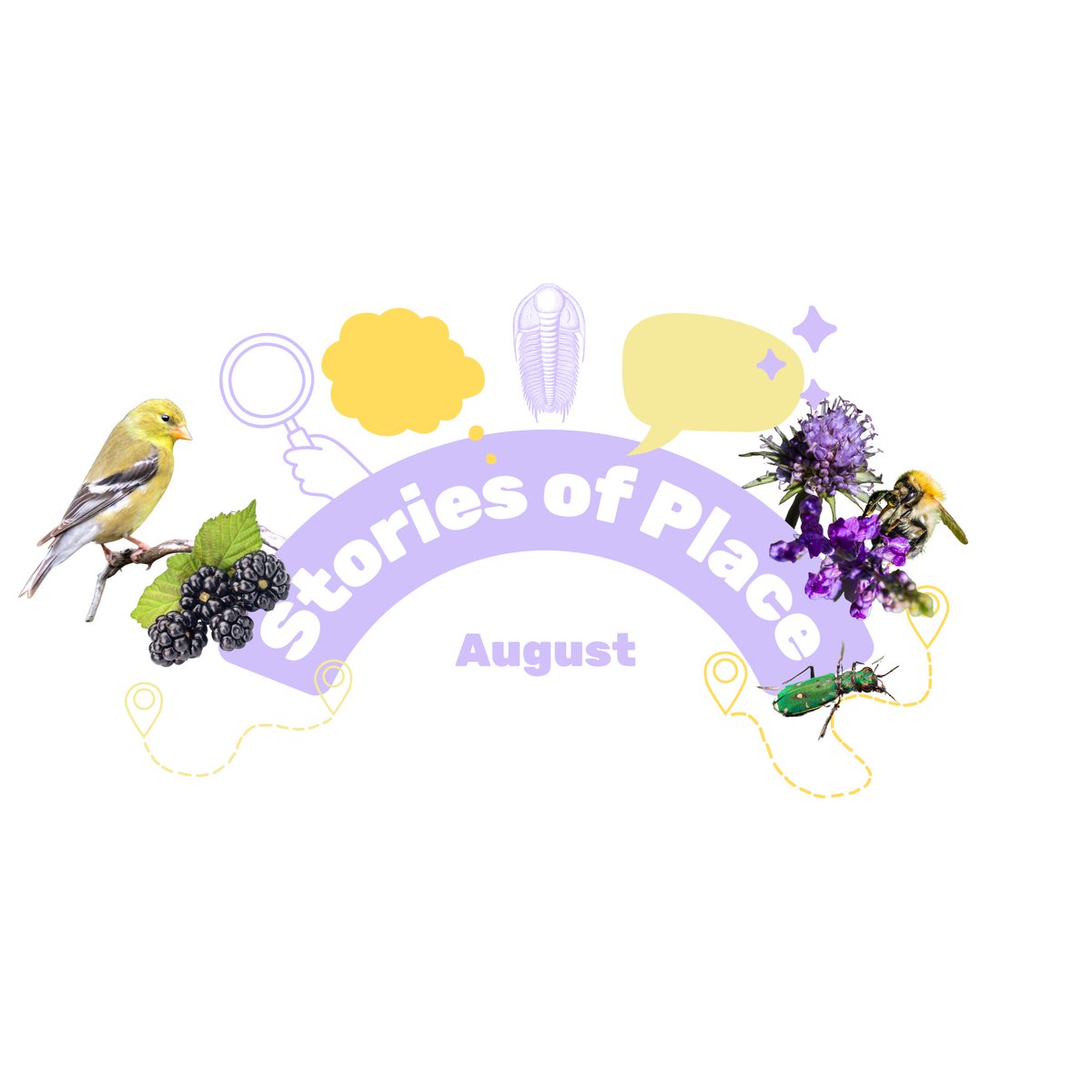 Dudley Creates tweet media