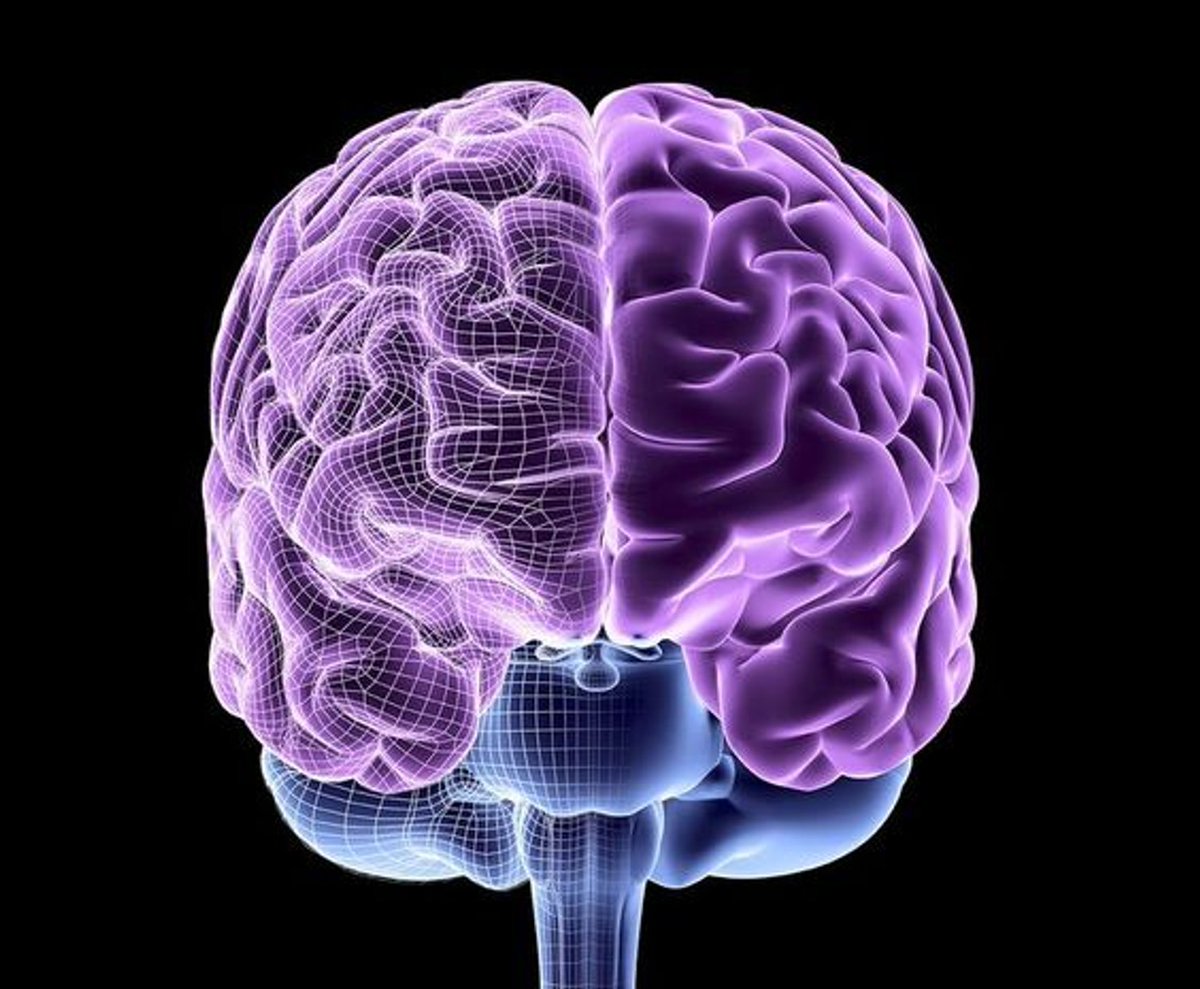 The most powerful skills in the world:  

Learning how to learn.

 I've spent over +10 years studying to become a doctor while testing 100s of learning techniques.
 
 Here's my 3C Learning Cycle to learn anything faster (according to neuroscience):