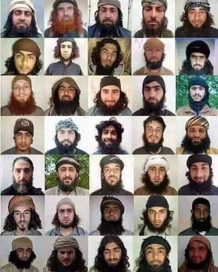 صورة لبعض اطفال سوريا الذين استشهدوا على يدي الروافض .