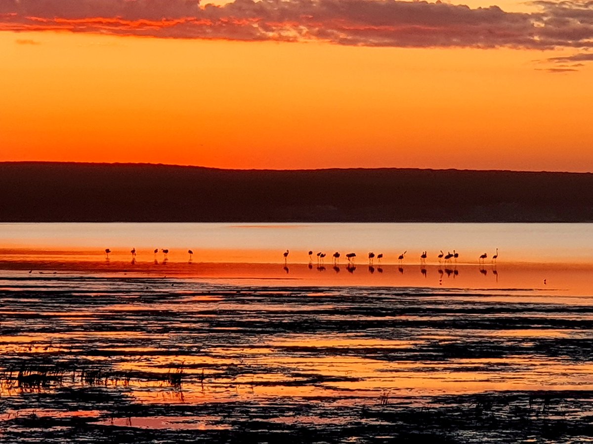 Judy Mann-Lang tweet media