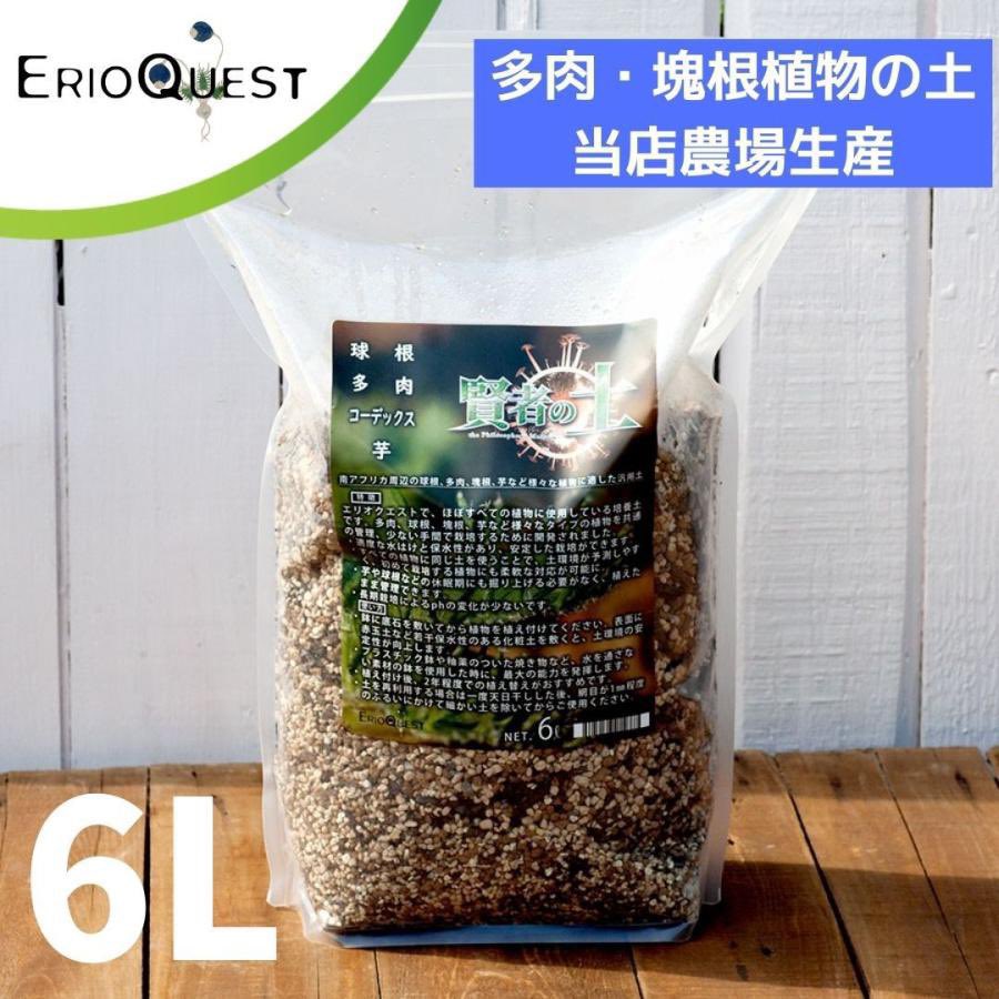 erioquest's tweet photo. 🪴賢者の土1万袋突破‼️🌵

いつもご愛用頂きありがとうございます

感謝の気持ちを込めて
【賢者の土6L】を20名様へプレゼント🎁

【応募方法】
①@erioquestをフォロー
②このツイートにいいね&amp;RT

コメント待ってます😊

※締切日8月8日23:59

記念セールも開催‼️
数量限定ですのでお見逃しなく‼️ https://t.co/vUlxiexg9F