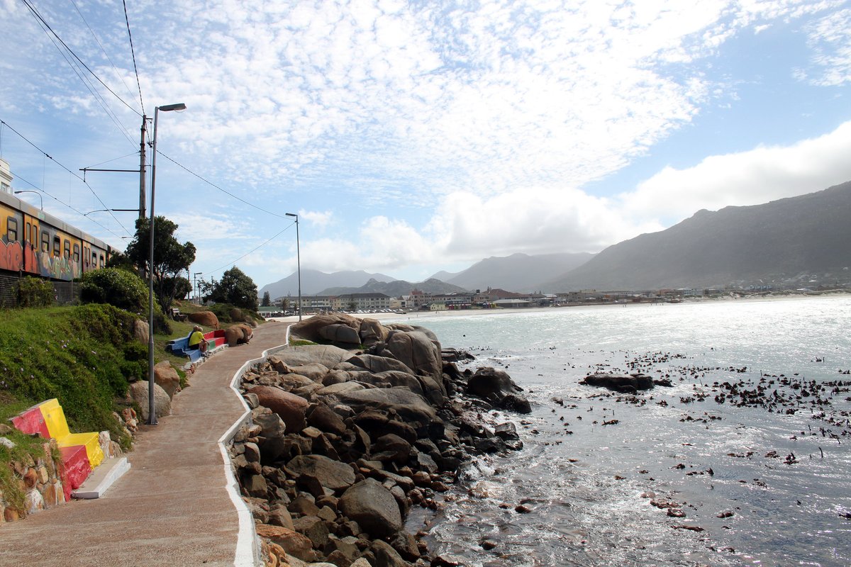 flowtravel_1's tweet image. A5: Climate change is a threat. 😥You can help by:

🚶Walking/cycling more
♻️Recycling
🧵Mending clothes instead of buying more
💬Spreading the word

#MPADay #OceanProtection #LetsTalkMPAs #MPAs