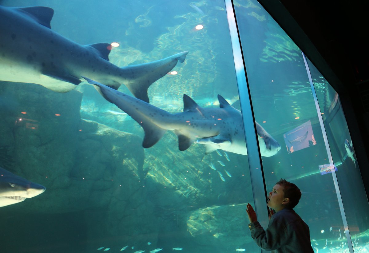 flowtravel_1's tweet image. A5: Climate change is a threat. 😥You can help by:

🚶Walking/cycling more
♻️Recycling
🧵Mending clothes instead of buying more
💬Spreading the word

#MPADay #OceanProtection #LetsTalkMPAs #MPAs