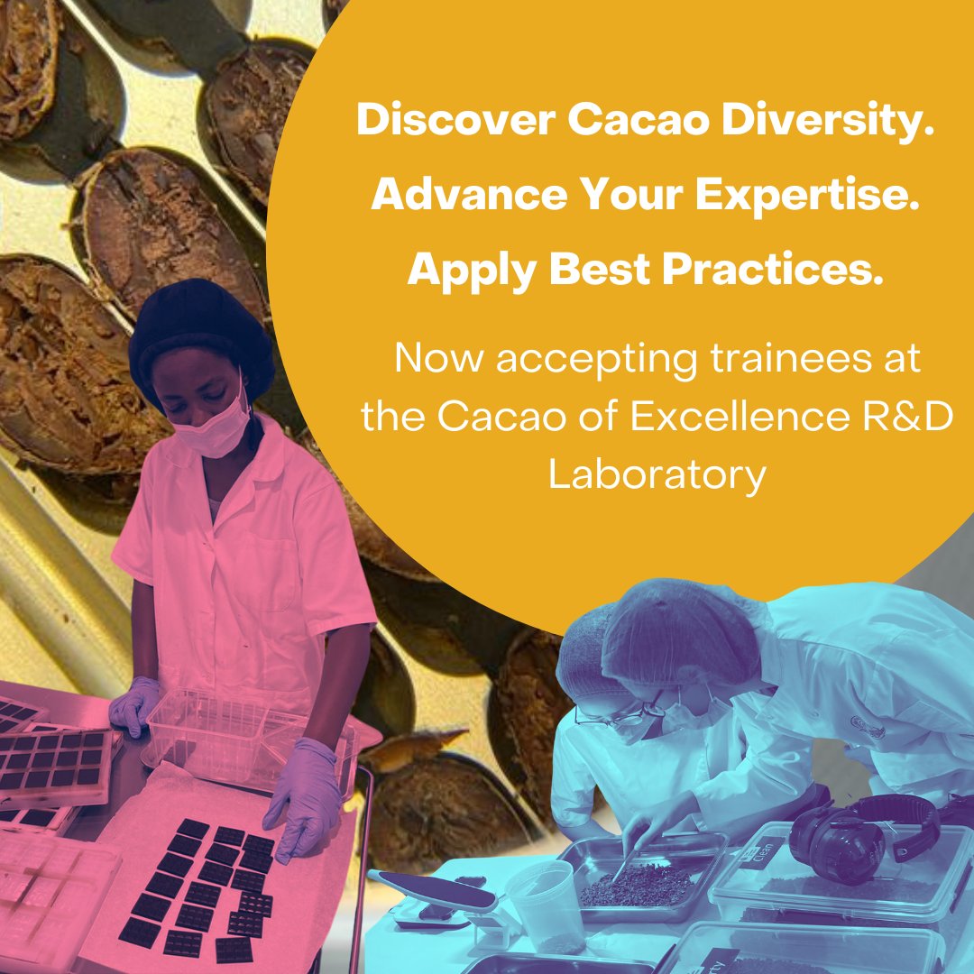 Gain exposure to the incredible #cacao #diversity that passes through the Cacao of Excellence lab and level-up your skills and knowledge. 

#sustainablecacao #chocolatelover #cacaolover

APPLY ⤵👏🏼🚀cacaoofexcellence.org/news/news-item…