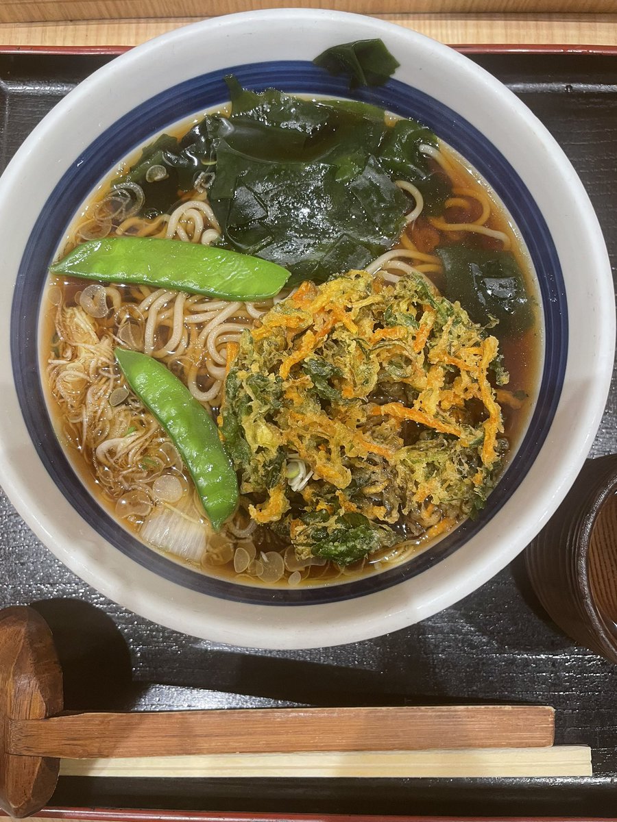ocha_jin's tweet photo. 新宿　信州屋
かき揚げそば　490円

ザクザクタイプのかき揚げが非常にうまい。上品なおつゆはにんべんの希釈では再現できないな・・

⭐️4/5 https://t.co/BSFXClMlpT