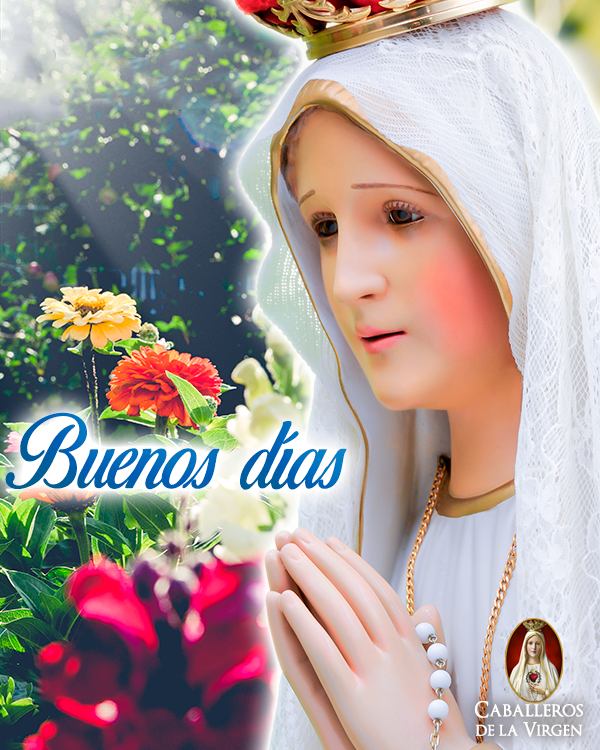 Cab_Virgen's tweet photo. Buenos días.
Reina de toda la Creación, te entrego mi vida y mi corazón. https://t.co/zSW9fxOcSQ