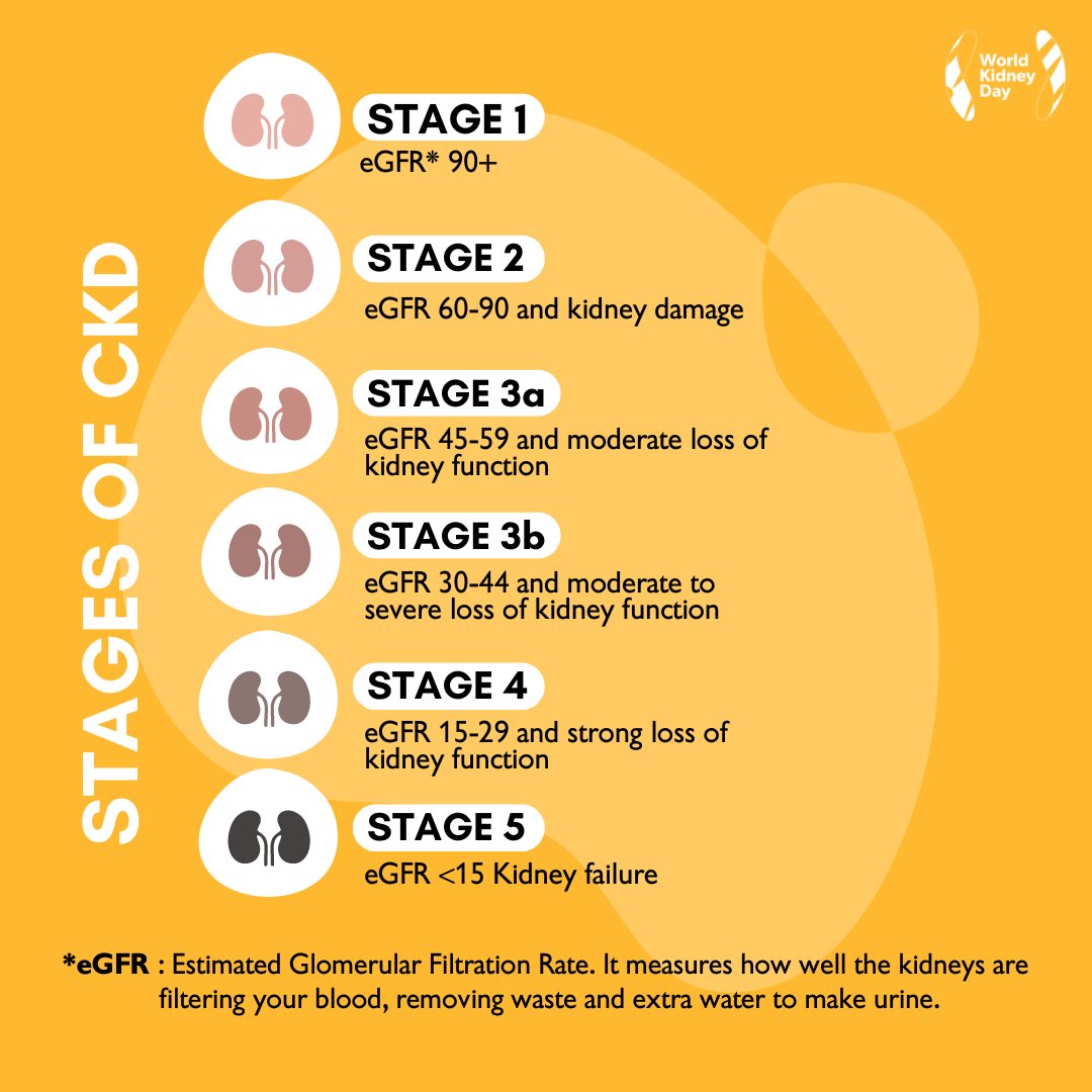 #ChronicKidneyDisease (CKD) progresses in five stages, each with varying degrees of kidney function. Knowing these stages can help in early detection and effective treatment. 
Learn more 👉🏽 worldkidneyday.org/about-kidney-h…
#WorldKidneyDay #KidneyDisease