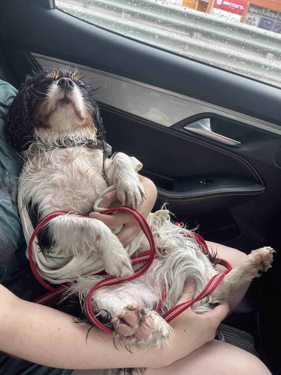 Эти ваши дожди.