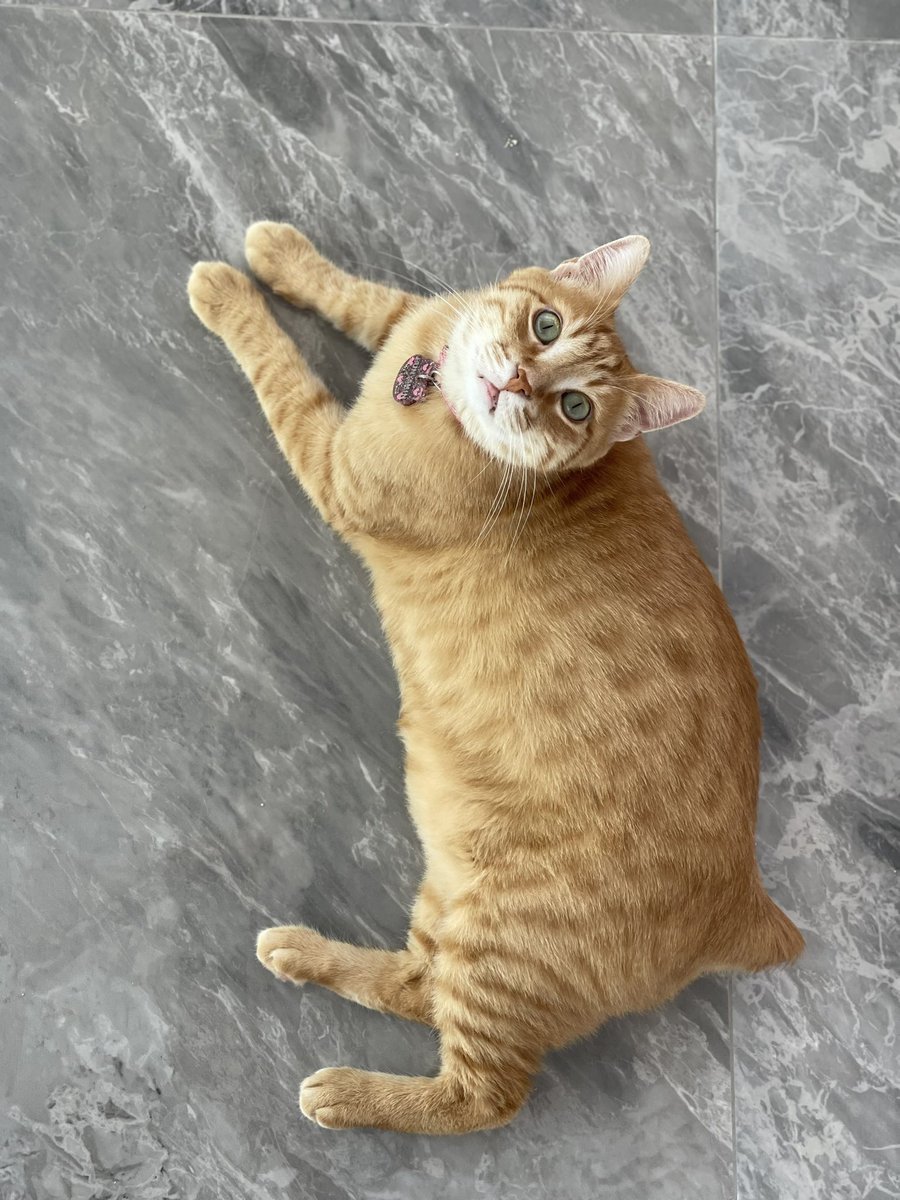 Malzemeyi yanlışlıkla az koymuşum bazı kısımlar eksik kaldı ama olsun😂