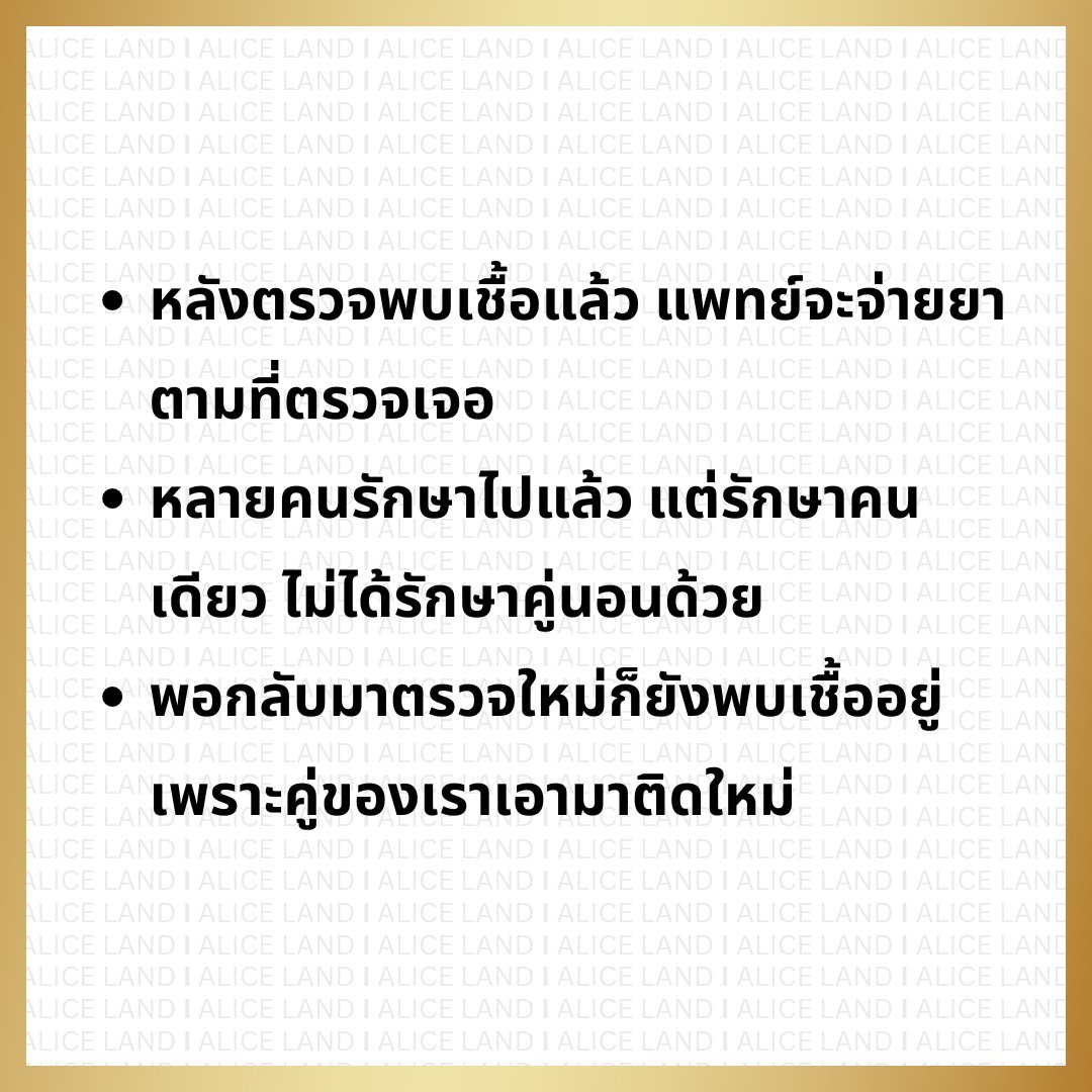 Alice_Land tweet media