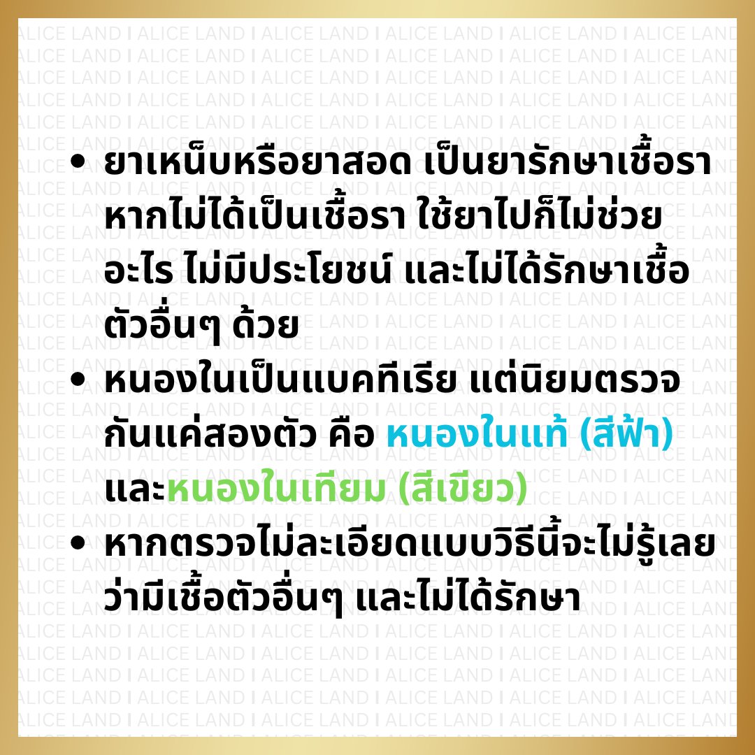 Alice_Land tweet media