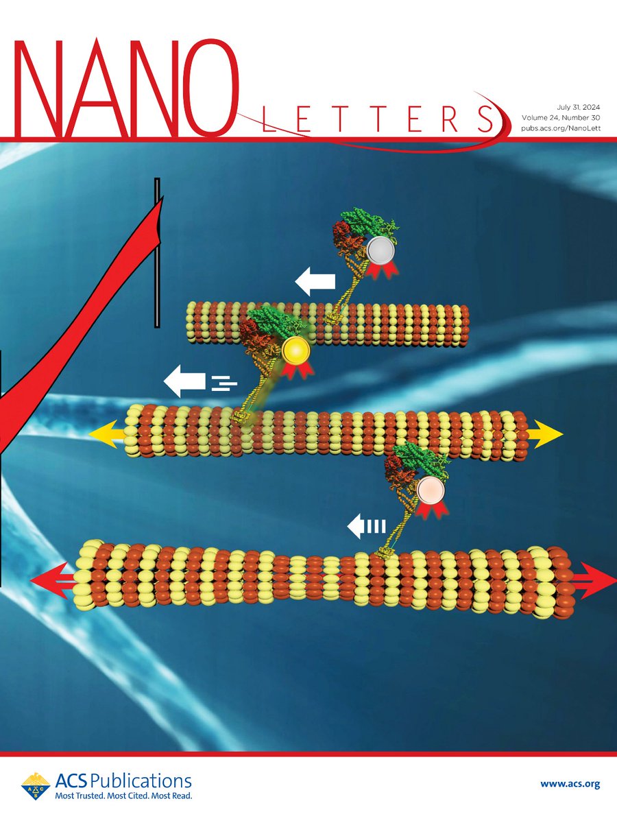NanoLetters's tweet photo. The latest issue of Nano Letters is live! On the cover: "Tensile Stress on Microtubules Facilitates Dynein-Driven Cargo Transport"    

Learn more: https://t.co/XSGhmN4qlL https://t.co/6dbAFssFnD