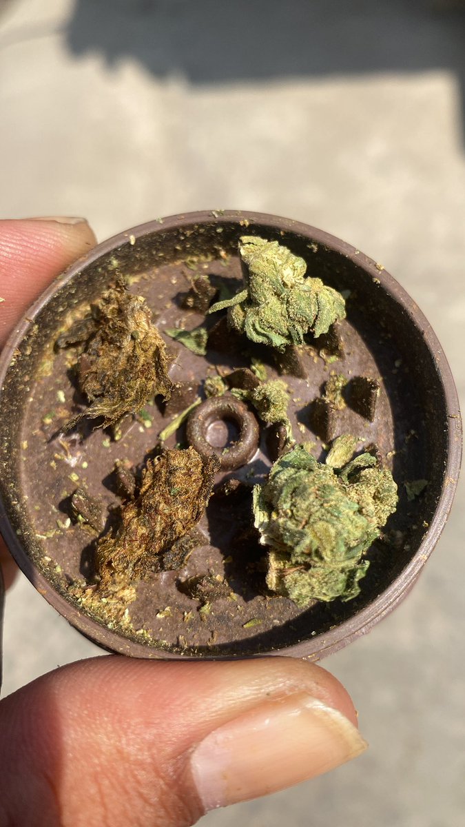 Boldia seg mais um dia abençoado por Deus 🙏🏽💪🏽💨