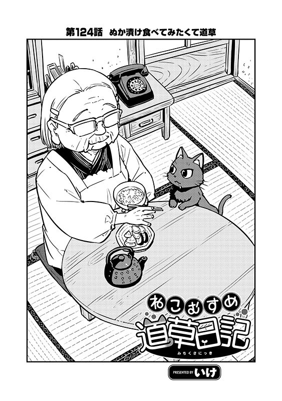 ㊗️緊急速報㊗️
#ねこむすめ道草日記
【最新124話】
🌸ぬか漬け食べてみたくて道草🌸

明日8月2日(金)17時～
✨期間限定無料公開✨
⏩️https://t.co/J7Wy1Bjjhw 