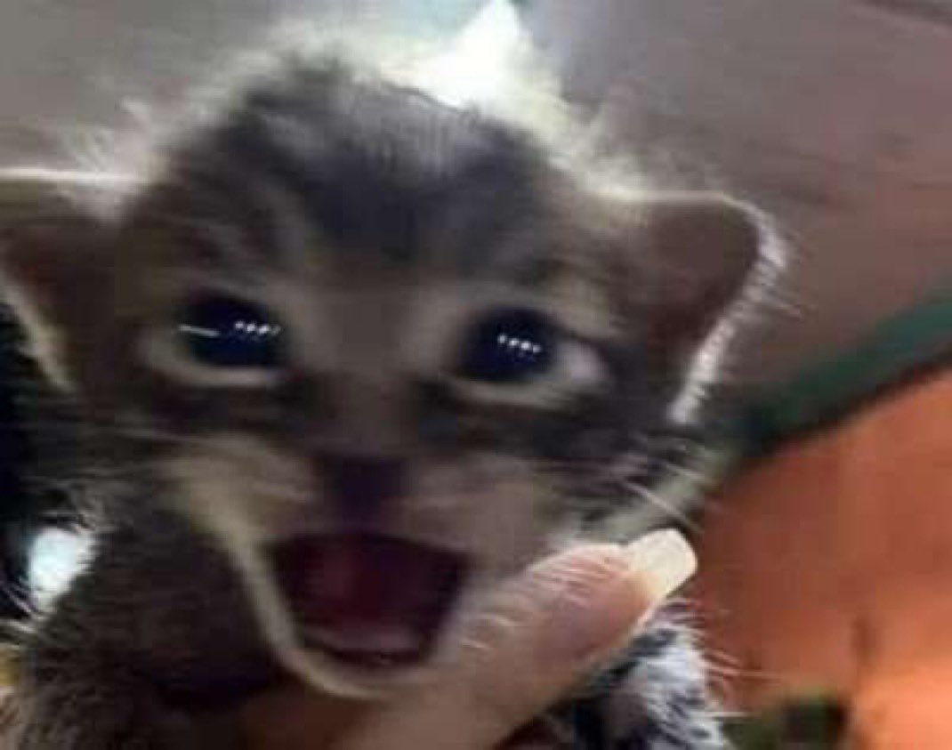 keyedestiny's tweet image. 