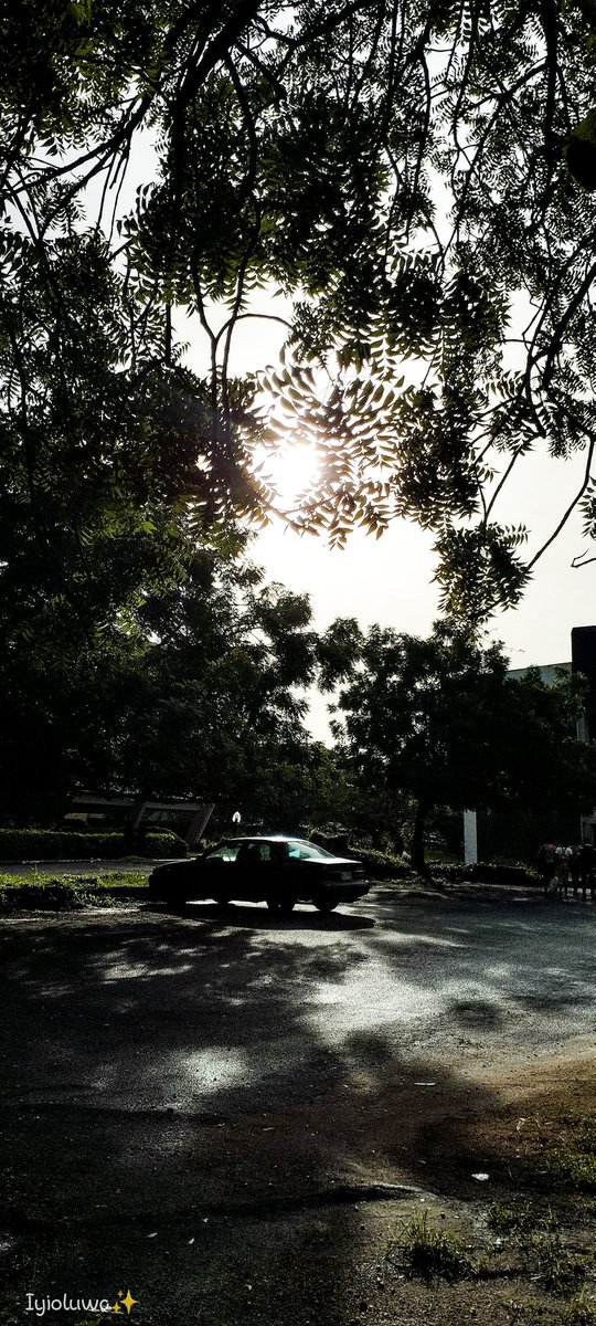TheIyioluwa's tweet photo. Embracing the dawn of a new month😊
Finding beauty in every sunrise and leaf. 🌿☀️ Sharing nature's beauty and uniqueness through my lens, capturing moments that touch the soul. 🥹✨
#nature #NaturePhotography #NatureTherapy #mobilephotography #redminote12 https://t.co/LNC9cEN29G